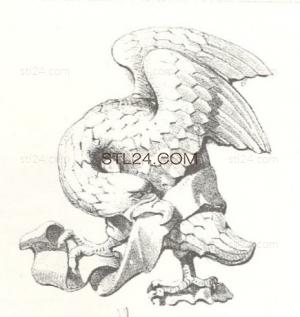 ANIMAL_0080